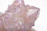 Large, Cactus Quartz (Amethyst) Crystal Cluster - South Africa #206118-4